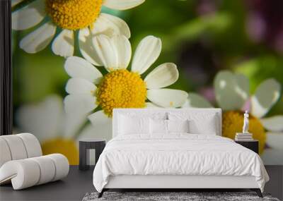 bright spring daisies on a background of blurred colors Wall mural