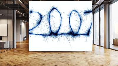 2007 sparkler 2 Wall mural