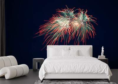 firework Wall mural