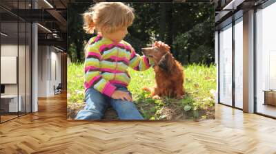 little girl caress dachshund outdoor Wall mural