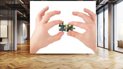 two hands with puzzle Wall mural