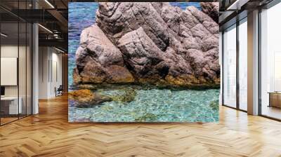 beautiful rocky shores of the Mediterranean island of Elba Wall mural