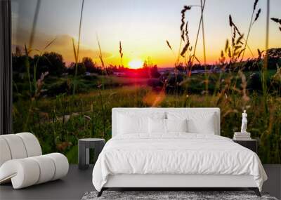 sunset in the field Wall mural