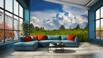 The image features a scenic view of a field with tall grass in the foreground and a line of trees. In the background, there are large, fluffy clouds against a blue sky Wall mural