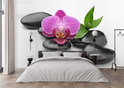 orchid Wall mural