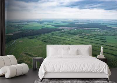 Top view of plowed and sown fields Wall mural