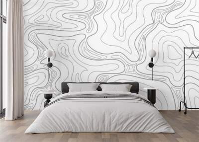 Topographic lines. seamless map background with geographical grid Wall mural