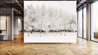 Winter beautiful landscape with trees covered with hoarfrost Wall mural