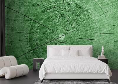 Green stained tree trunk cut with annual circles. B Wall mural