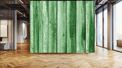 Old grungy wooden planks background in green tone. Wall mural