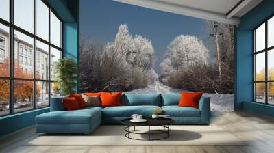 winter landscape with trees and blue sky Wall mural