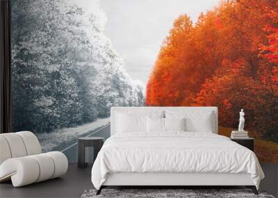 winter and autumn in one photo of the road
 Wall mural