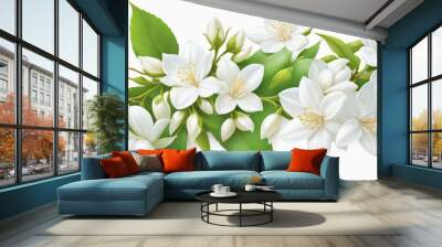 White flower jasmine isolated on white background Wall mural