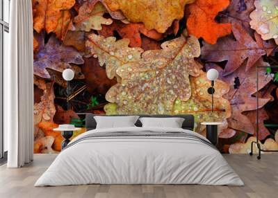 abstract autumn background with leafage Wall mural