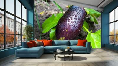 fresh aubergine Wall mural