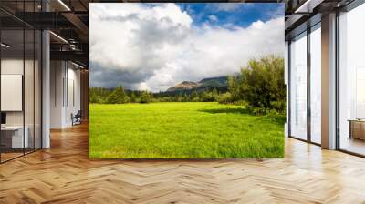 green meadow under sky with clouds Wall mural