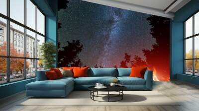 Milky Way Galaxy in sky and campfire Wall mural