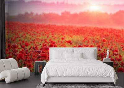 red poppy field in morning mist Wall mural