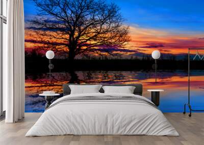 tree near water on sunset background Wall mural