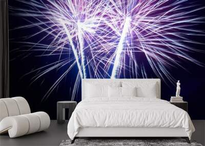 Colorful fireworks Wall mural