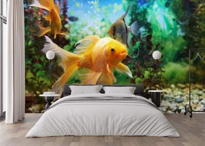 Colorful fishes in aquarium Wall mural