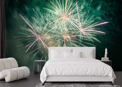 Green colorful fireworks on the black sky background. Holiday celebration Wall mural