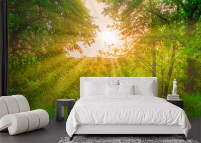 Green forest at sunset with sun beams through green leaves Wall mural