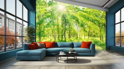 Green forest panorama - panoramic landscape with sun rays light shining through trees Wall mural