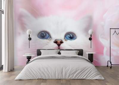 Little cute white cat Wall mural