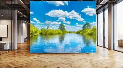 River landscape and green forest with trees blue water clouds on sky Wall mural