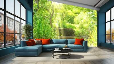 Stream in the tropical forest with sun light. Environment sunny landscape Wall mural