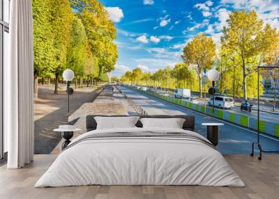 Street with many cars near green park at european city. Paris, France Wall mural