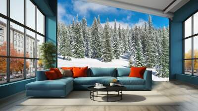 Winter pine trees in snow with blue sky Wall mural