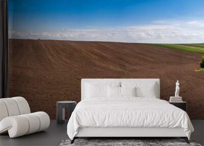 arable with shaded trees and an agrarian landscape of the springtime Wall mural