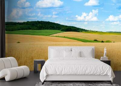 beautiful landscape panoramic view of wheat field, ears and yellow and green hills Wall mural