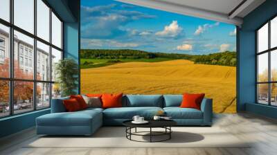 beautiful landscape panoramic view of wheat field, ears and yellow and green hills Wall mural