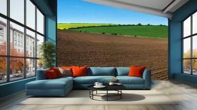 farm field lines of arable land and rapeflowerfield landscape Wall mural