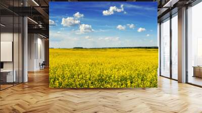 panoramic view of Rape Field in Ukraine Wall mural