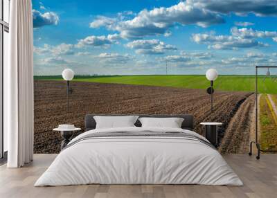 plowed field and grren fresh wheat dirt road in spring, beautiful blue sky with clouds Wall mural