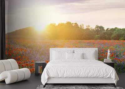 poppies field on evening sky and sunlights Wall mural