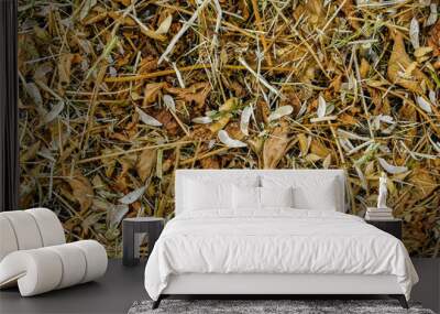 residues after soybean harvest in the field Wall mural