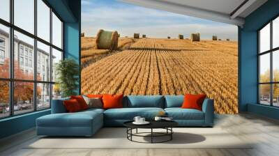 stubble after the wheat harvested in the field, bales of straw in rolls, on the horizon a corn field against the background of a beautiful sky Wall mural