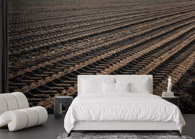 traces on the plowed land of the agricultural field during the preparation of the land for sowing Wall mural