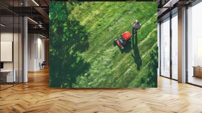 Aerial View of Man Mowing a Lawn With a Red Lawn Mower on a Sunny Day Wall mural