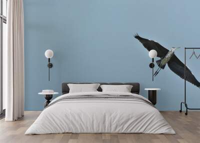 Heron isolated flying on the blue heaven  Wall mural