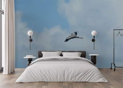 heron isolated flying on the blue heaven Wall mural