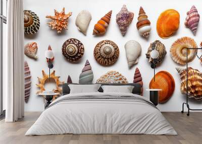 Exotic seashells in different shapes and colors on a white background Wall mural