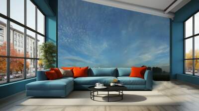 blue panorama before sunrise Wall mural