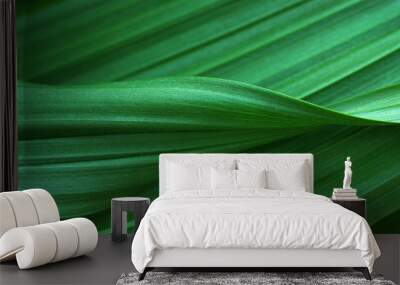 Green leaves for background Wall mural