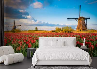 Beautiful Dutch scenery with traditional windmills and tulip flowers foreground  Wall mural